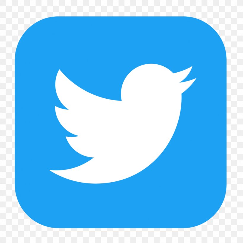 Logo Social Media Marketing Hapa Ramen, PNG, 1024x1024px, Logo, Area, Beak, Bird, Blog Download Free