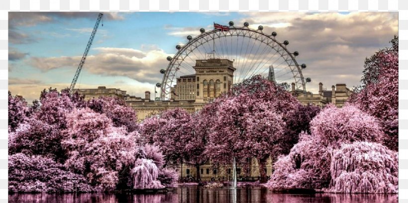 London Eye Hyde Park Big Ben Desktop Wallpaper Image Source Limited, PNG,  1500x748px, London Eye, Arch,
