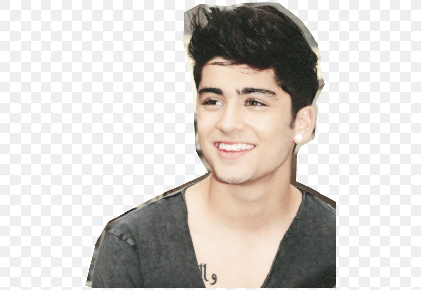 Zayn Malik One Direction Hairstyle Photography, PNG, 500x565px, Watercolor, Cartoon, Flower, Frame, Heart Download Free