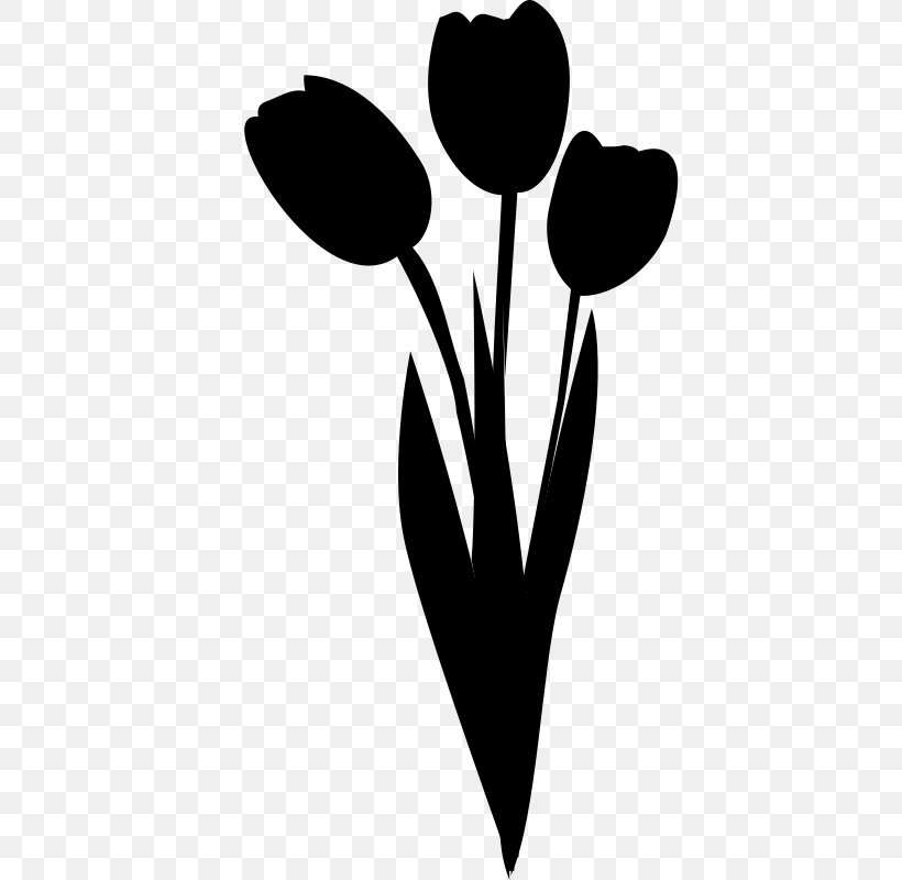 Clip Art Heart M-095 Flowering Plant Plants, PNG, 418x800px, Heart, Blackandwhite, Flower, Flowering Plant, Lily Family Download Free