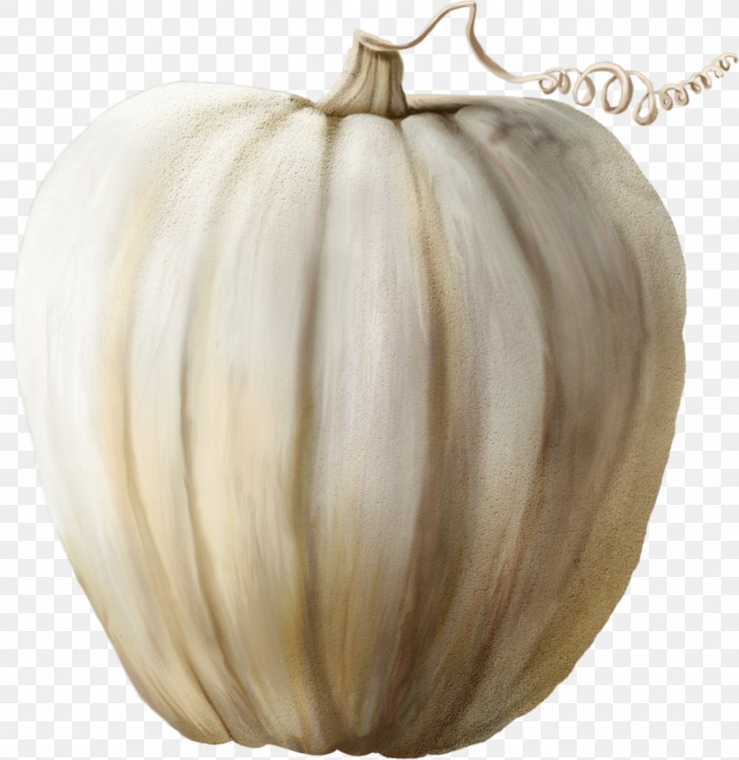 Pumpkin Winter Squash Cucurbita, PNG, 1245x1280px, Pumpkin, Autumn, Cucurbita, Sticker, Winter Squash Download Free