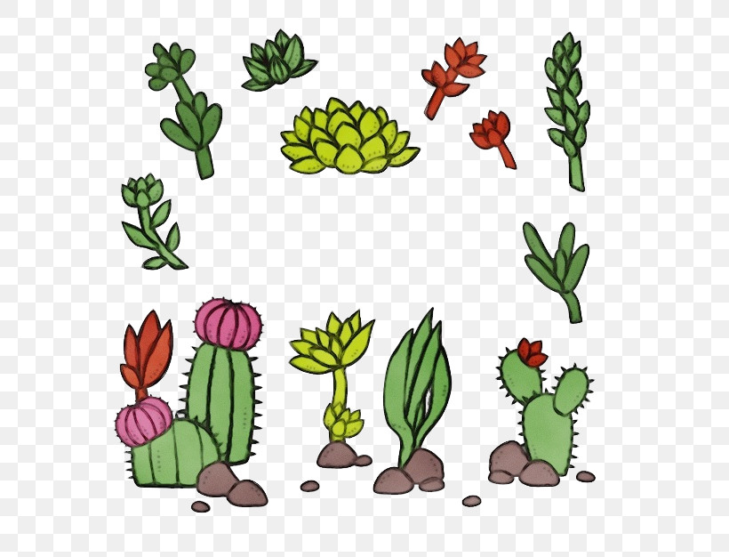 Cactus, PNG, 626x626px, Watercolor, Adaptation, Barbary Fig, Cactus, Flower Download Free