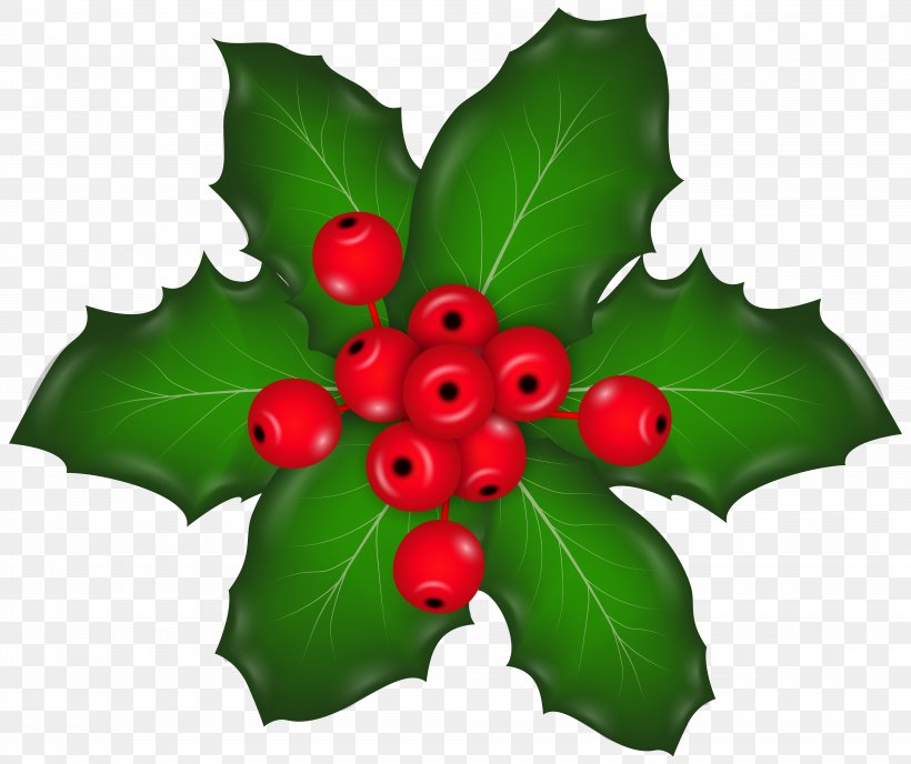 Holly Aquifoliales Fruit Leaf, PNG, 8000x6721px, Christmas, Aquifoliaceae, Aquifoliales, Christmas Card, Christmas Decoration Download Free