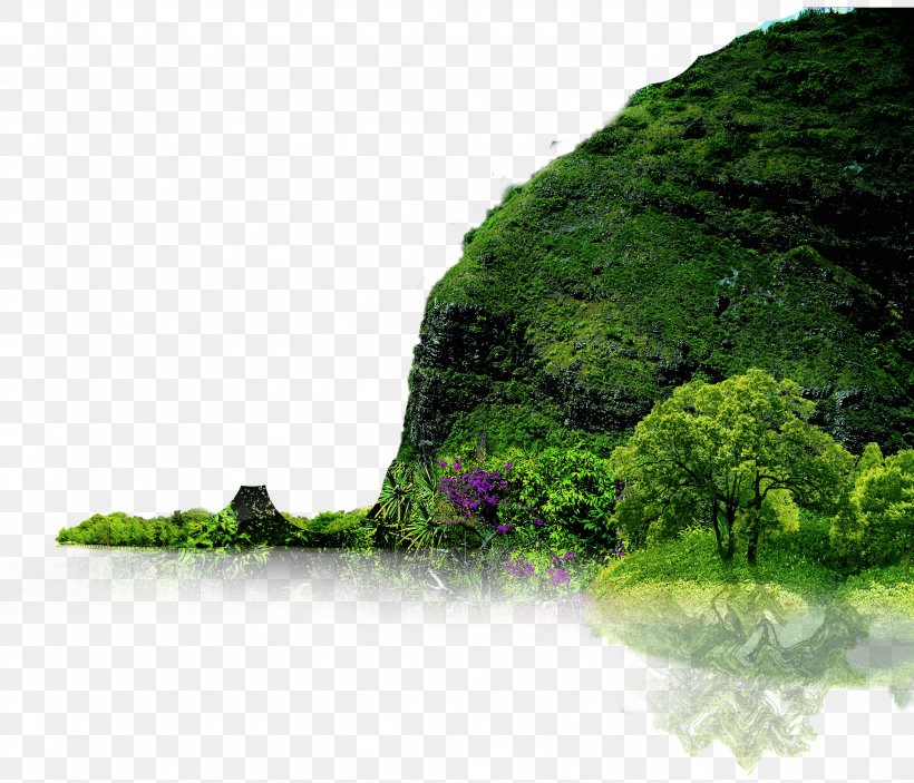 Landscape Download Nature Icon, PNG, 2207x1893px, Landscape, Designer, Evergreen, Fukei, Grass Download Free
