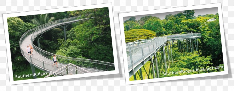 Southern Ridges Bus Recreation Tourist Attraction Fence, PNG, 1600x623px, Bus, Area, Blue, Color, Fence Download Free