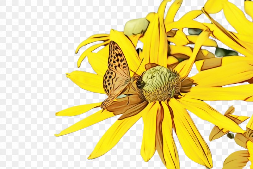 Sunflower, PNG, 1224x816px, Watercolor, Dandelion, Flower, Honeybee, Paint Download Free