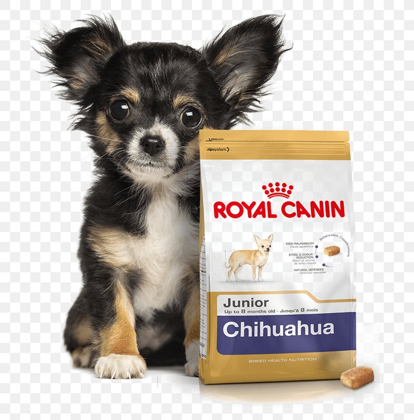 Chihuahua Bichon Frise Cat Food Puppy Yorkshire Terrier, PNG, 737x833px, Chihuahua, Bichon Frise, Carnivoran, Cat, Cat Food Download Free