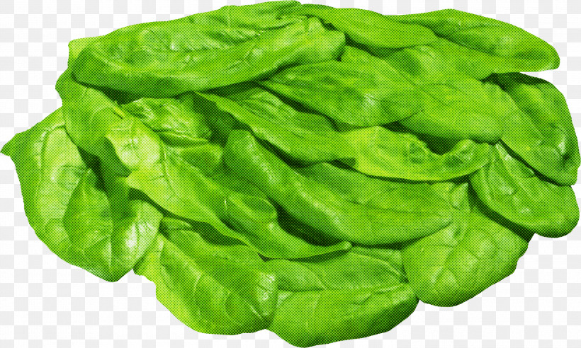 Green Leaf Vegetable Leaf Vegetable Spinach, PNG, 3000x1803px, Green, Flower, Food, Leaf, Leaf Vegetable Download Free