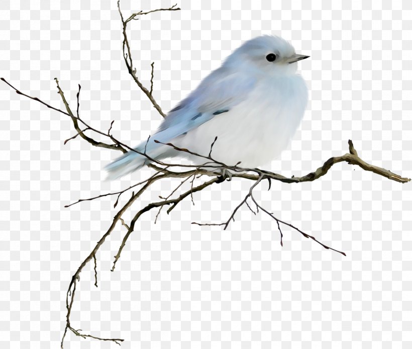 Bird Mountain Bluebird Beak Bluebird Branch, PNG, 1252x1063px, Watercolor, Beak, Bird, Blue Gray Gnatcatcher, Bluebird Download Free