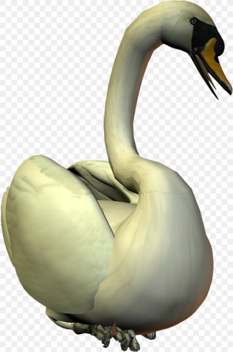 Cygnini Goose Duck Water Bird, PNG, 1340x2022px, Cygnini, Anatidae, Animal, Anseriformes, Beak Download Free