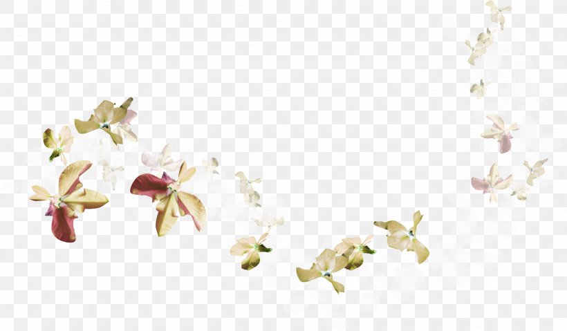 Flower Clip Art, PNG, 3406x1990px, Flower, Blossom, Body Jewelry, Branch, Highdefinition Television Download Free