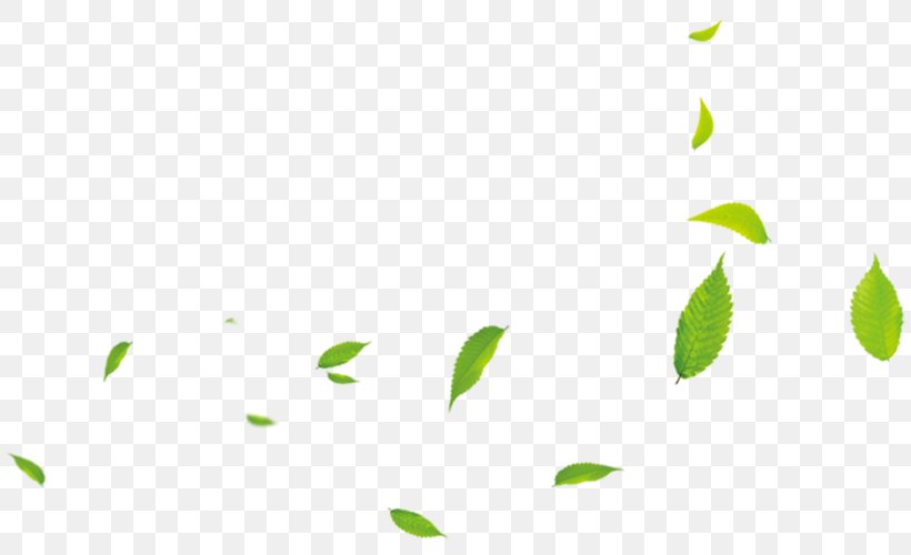 Leaf Green Download, PNG, 810x500px, Leaf, Cartoon, Grass, Green, Highdefinition Television Download Free