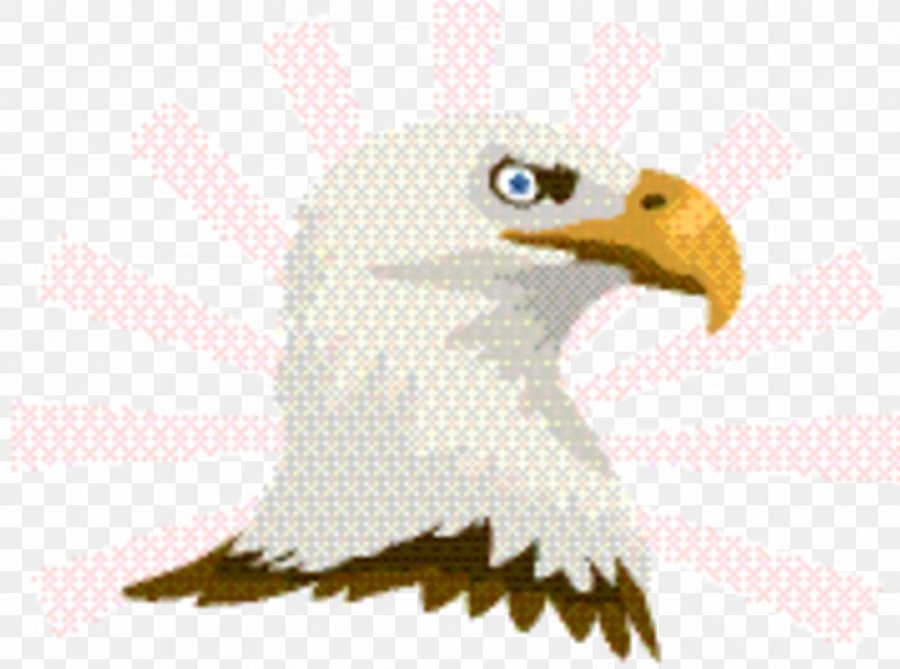 Eagle Logo, PNG, 1812x1346px, Beak, Bird, Bird Of Prey, Eagle, Logo Download Free