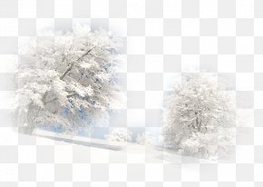 hiver images hiver transparent png free download hiver images hiver transparent png