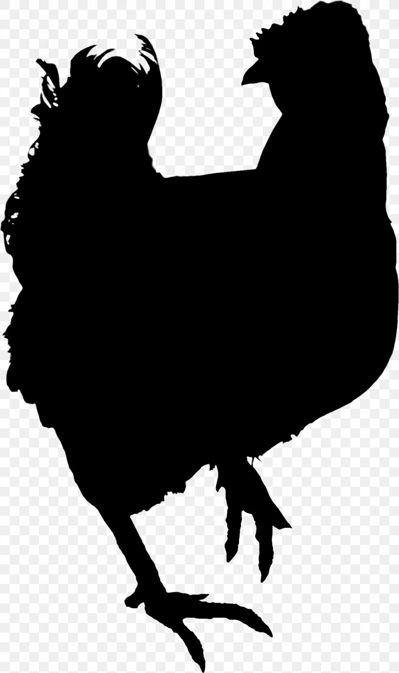 Rooster Chicken Clip Art Silhouette Fauna, PNG, 1665x2810px, Rooster, Beak, Bird, Blackandwhite, Chicken Download Free