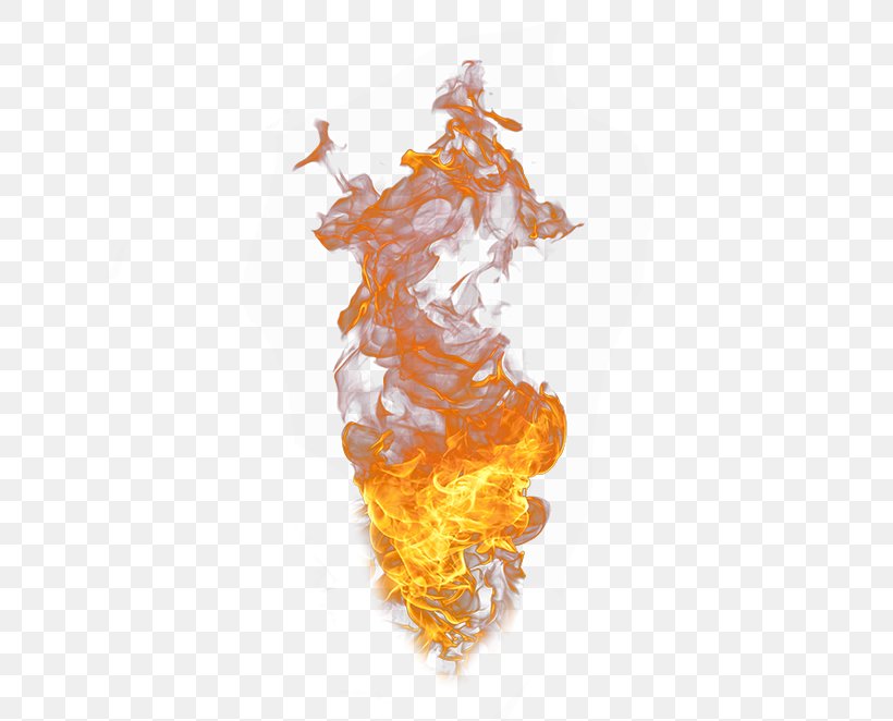 Flame Fire Combustion, PNG, 650x662px, Flame, Combustion, Fire, Orange, Raster Graphics Download Free