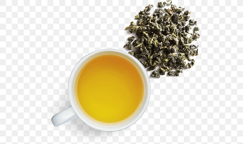 Hōjicha Oolong Earl Grey Tea Green Tea, PNG, 544x486px, Hojicha, Assam Tea, Bancha, Ceylon Tea, Cup Download Free