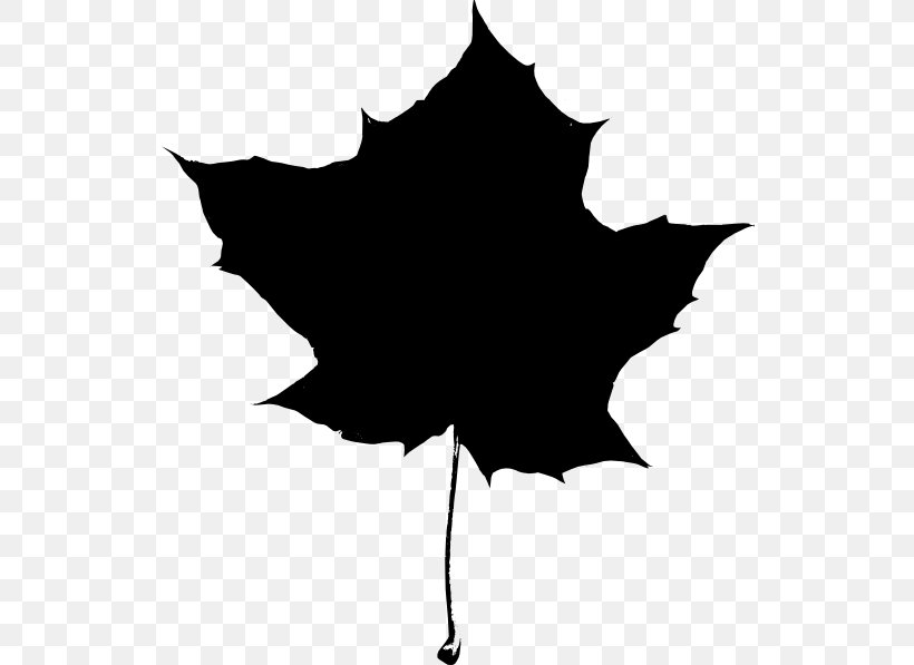 Maple Leaf Autumn Leaf Color, PNG, 534x597px, Maple Leaf, Autumn, Autumn Leaf Color, Black, Black And White Download Free
