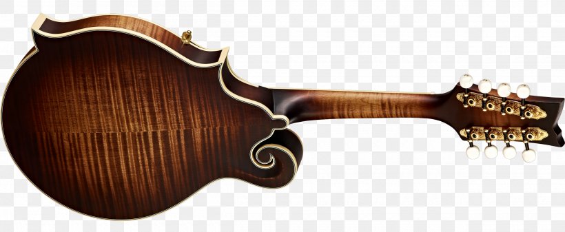 Acoustic-electric Guitar Musical Instruments Classical Guitar, PNG, 2500x1030px, Acousticelectric Guitar, Acoustic Electric Guitar, Acoustic Guitar, Classical Guitar, Classical Guitar Making Download Free