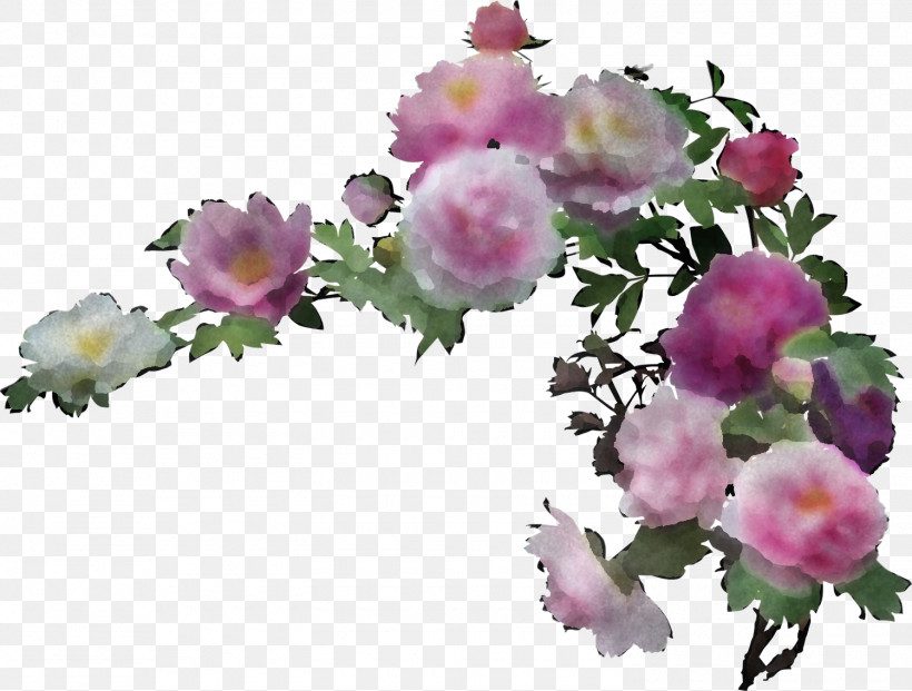 Floral Design, PNG, 1500x1137px, Floral Design, Blossom, Cherry Blossom, Cut Flowers, Flower Download Free