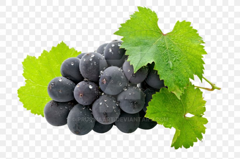 Juice Wine Grape Fruit Organic Food, PNG, 900x598px, Juice, Apple, Berry, Bilberry, Flavor Download Free