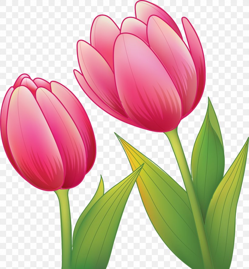 Royalty-free Drawing Red, PNG, 2794x3021px, Royaltyfree, Bud, Can Stock Photo, Drawing, Flower Download Free