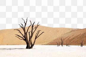 Wind Rock - Cartoon Nature Background PNG