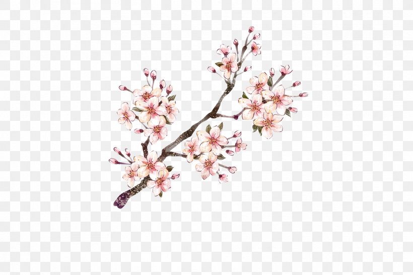 Desktop Wallpaper, PNG, 1772x1181px, Flower, Blossom, Branch, Cherry Blossom, Flora Download Free