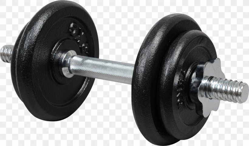 Dumbbell Barbell Kettlebell Exercise Machine Physical Exercise, PNG, 2751x1611px, Tomsk, Artikel, Barbell, Bigsport, Dumbbell Download Free