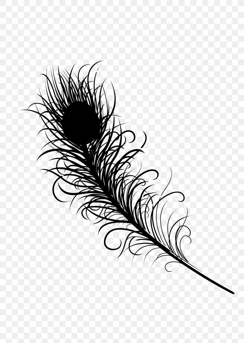 Feather Line, PNG, 1492x2101px, Feather, Eyelash, Fashion Accessory, Quill, Writing Implement Download Free