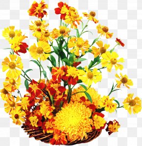 Flower Floral Design Autumn Image Painting PNG