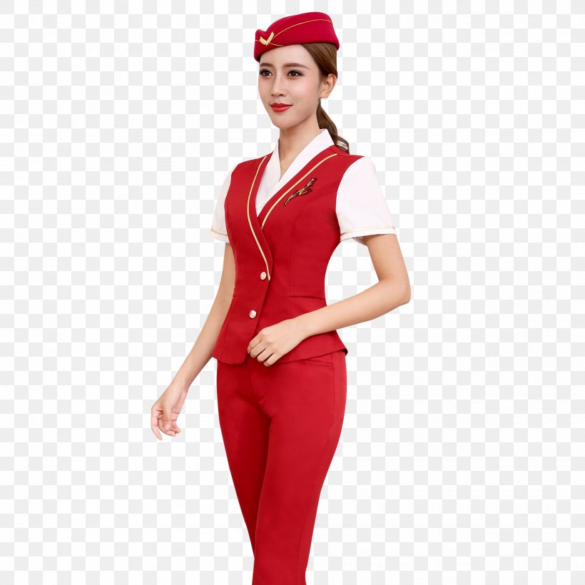 Nurse Cartoon, PNG, 2500x2500px, Uniform, Airline, Clothing, Cosplay, Costume Download Free