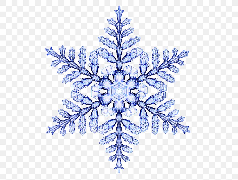 Snowflake Physicist Desktop Wallpaper, PNG, 620x622px, Snowflake, Blue, Branch, Christmas Decoration, Christmas Ornament Download Free