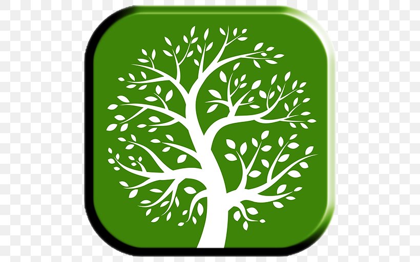 Family Tree Genealogy Clip Art, PNG, 512x512px, Family Tree, Area, Branch, Family, Flora Download Free