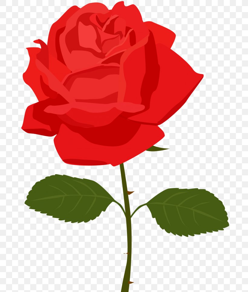 Rose Desktop Wallpaper Clip Art, PNG, 696x966px, Rose, Blog, China Rose, Cut Flowers, Document Download Free