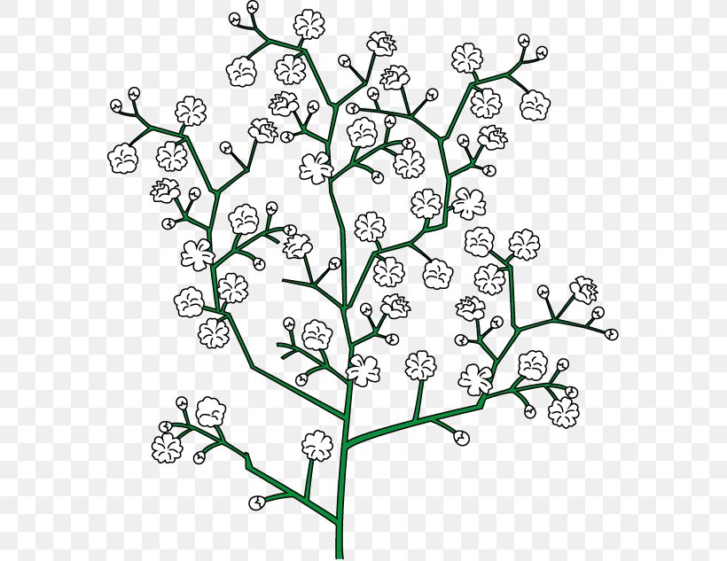 Showy Baby's-breath Floral Design Royalty-free Clip Art, PNG, 578x633px, Floral Design, Area, Black And White, Branch, Flora Download Free