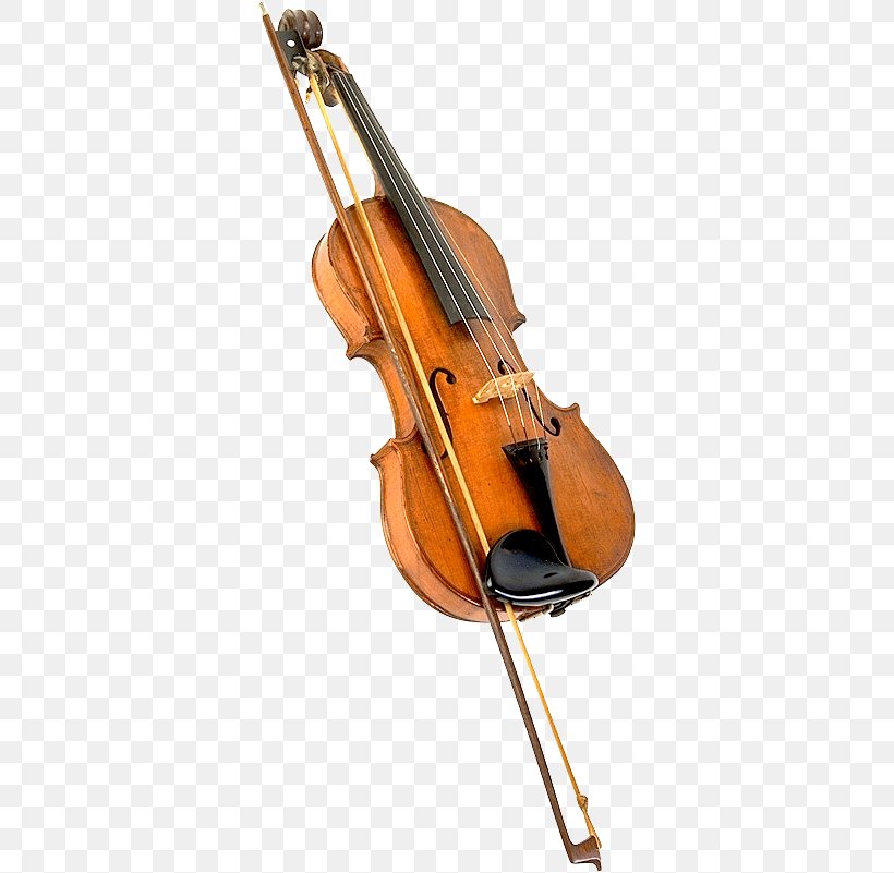 Bass Violin Violone Viola Double Bass, PNG, 349x801px, Bass Violin, Bass Guitar, Bowed String Instrument, Cellist, Cello Download Free