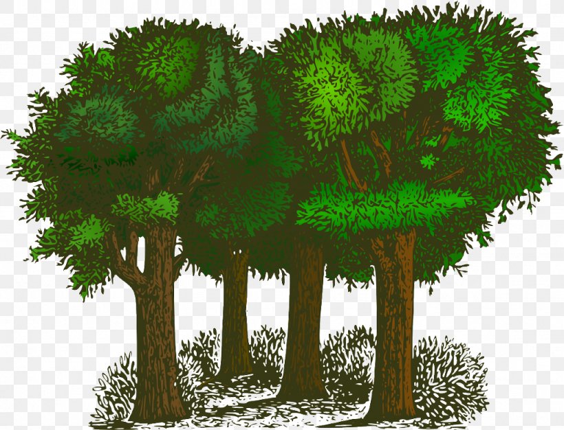 Clip Art Vector Graphics Openclipart Tree Free Content, PNG, 1024x782px, Tree, Animation, Arbor Day, Botany, Branch Download Free