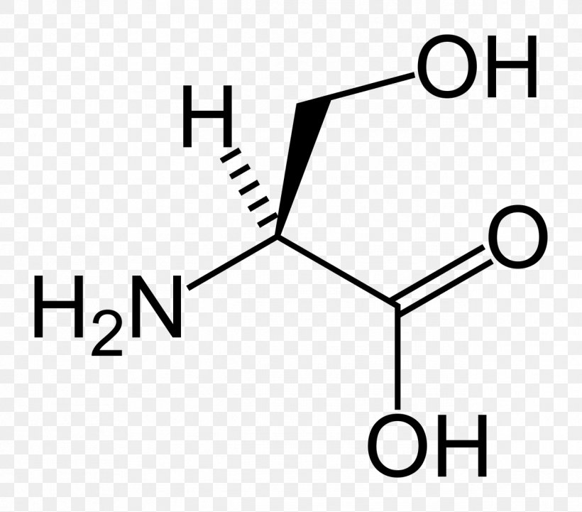 Dietary Supplement Glutamine Proteinogenic Amino Acid Health, PNG, 1267x1115px, Dietary Supplement, Acid, Amino Acid, Area, Black And White Download Free