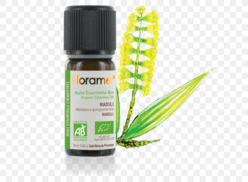 Organic Food Peppermint Essential Oil Organic Farming, PNG, 800x600px, Organic Food, Camphor Tree, Cymbopogon Citratus, Essential Oil, Eucalyptus Oil Download Free