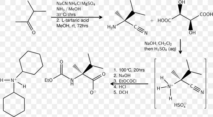 Strecker Amino Acid Synthesis Chemical Reaction Chemist, PNG, 900x494px, Strecker Amino Acid Synthesis, Acid, Aldehyde, Amine, Amino Acid Download Free