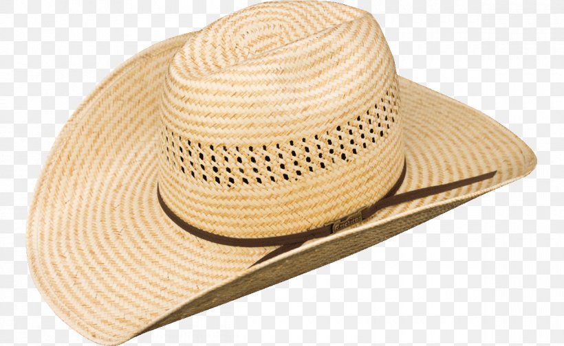 Sun Hat Straw Hat Color, PNG, 1200x738px, Sun Hat, American Hat Company, Americans, Cap, Color Download Free