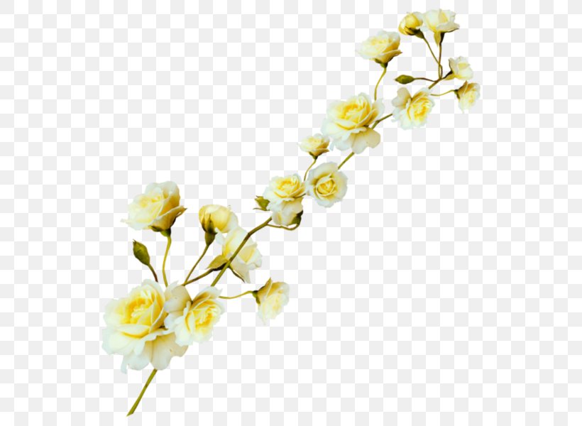 Yellow Floral Design Flower, PNG, 554x600px, Yellow, Blossom, Branch, Cherry Blossom, Cut Flowers Download Free