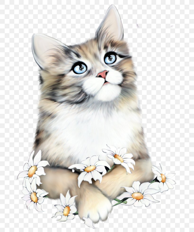 Cat Image Kitten Clip Art Birthday, PNG, 700x978px, Cat, Birthday, Carnivoran, Cat Like Mammal, Domestic Short Haired Cat Download Free