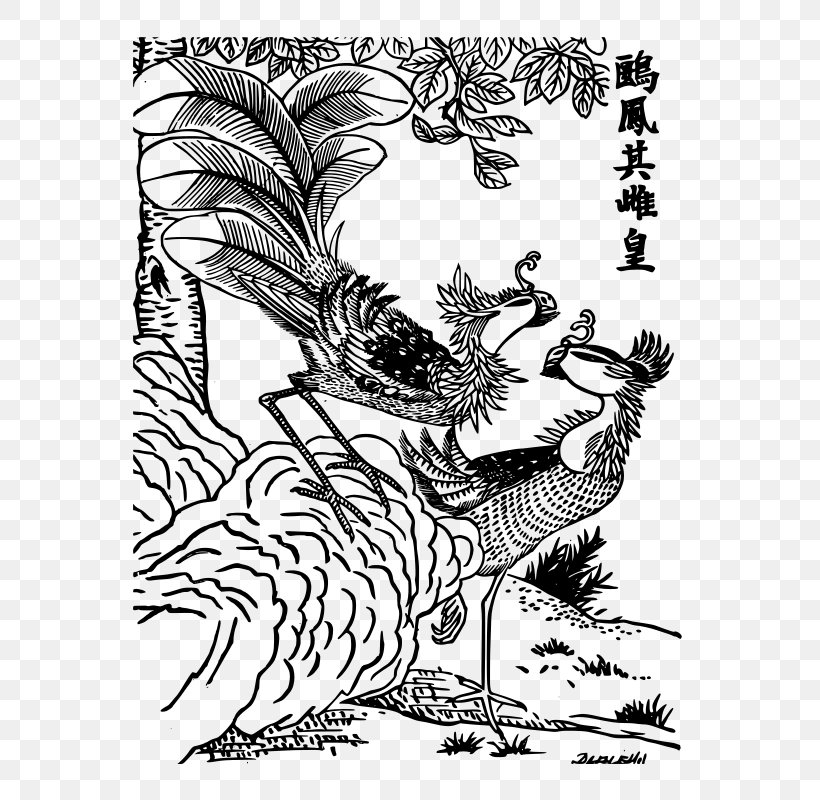 China Legendary Creature Coloring Book Fenghuang Phoenix, PNG, 566x800px, China, Adult, Art, Bird, Black And White Download Free