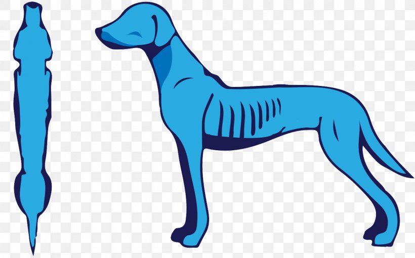 Dog Breed Italian Greyhound Nutrition Pet, PNG, 1278x795px, Dog Breed, Artwork, Breed, Carnivoran, Diet Download Free