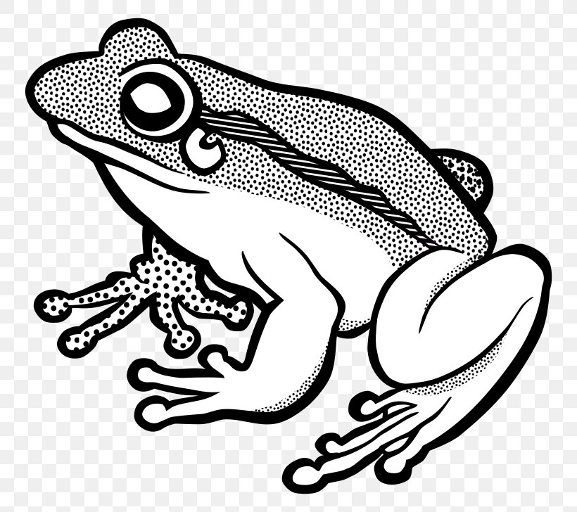 Frog Line Art Clip Art, PNG, 800x728px, Frog, Amphibian, Art, Artwork, Black Download Free