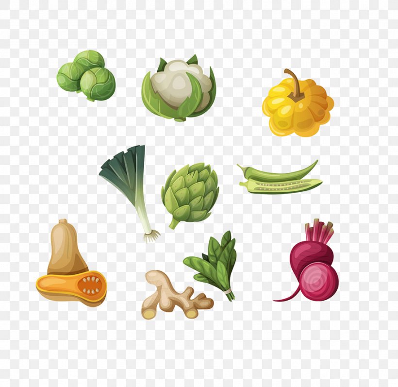 Vegetable Fruit Okra Illustration, PNG, 911x886px, Vegetable, Brussels Sprout, Cauliflower, Diet Food, Drawing Download Free