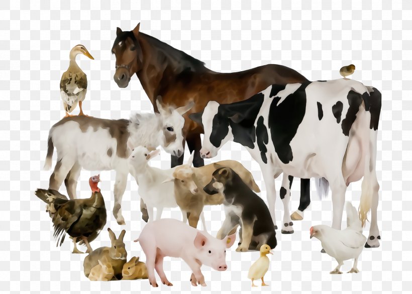 Animal Figure Herd Goat Goats Livestock, PNG, 2364x1692px, Watercolor, Animal Figure, Cowgoat Family, Goat, Goats Download Free