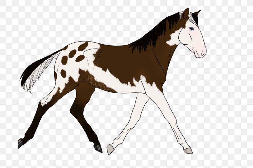 Mustang Foal Stallion Colt Mare, PNG, 1024x683px, Mustang, Animal Figure, Bridle, Cartoon, Colt Download Free